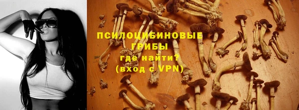 PSILOCYBIN Горнозаводск