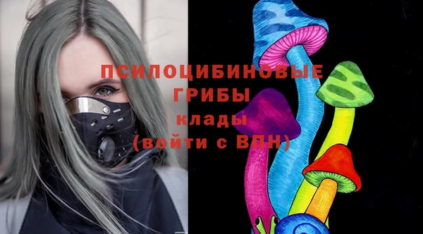 шишки Вязники